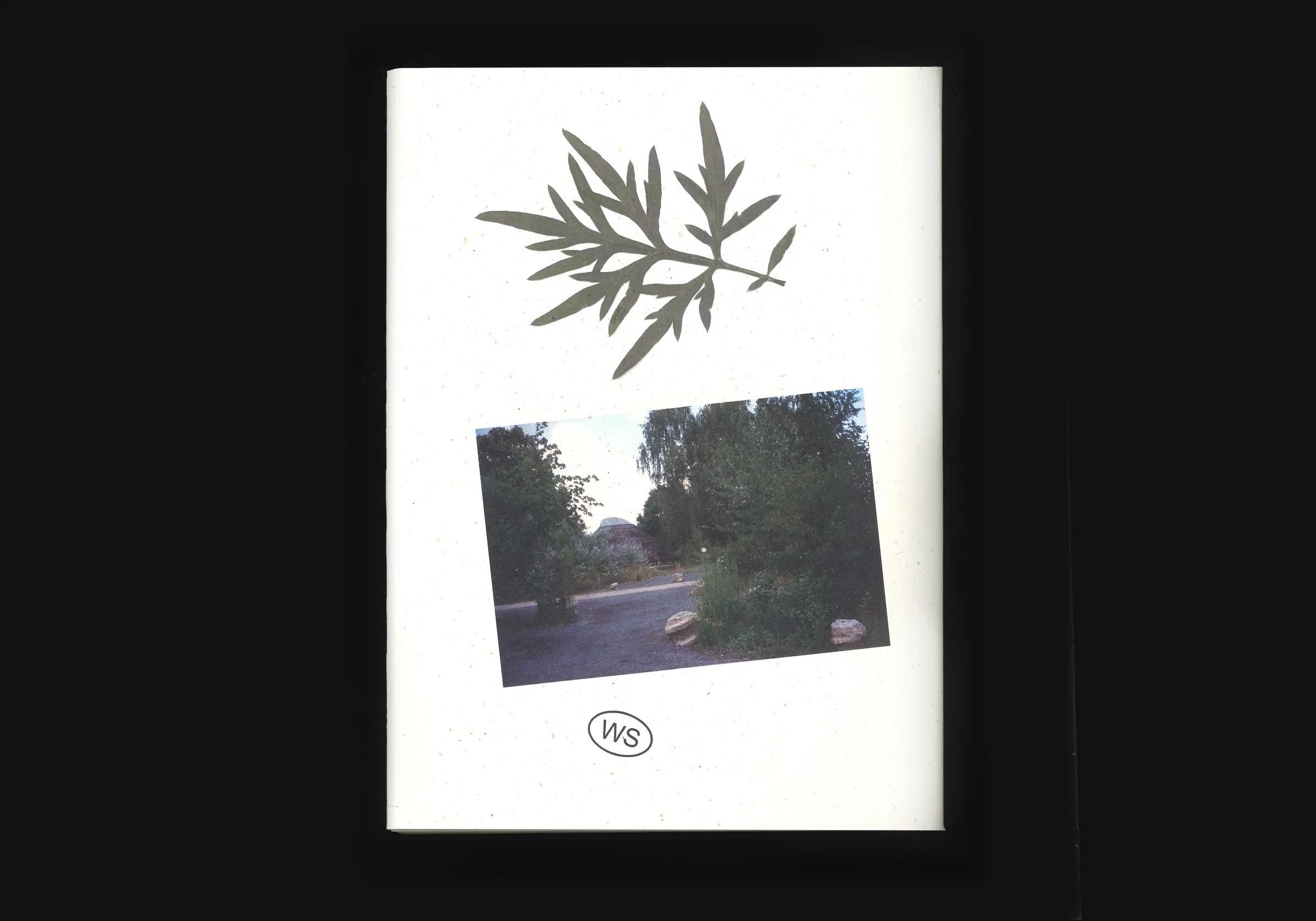 Asiat Park, image 7